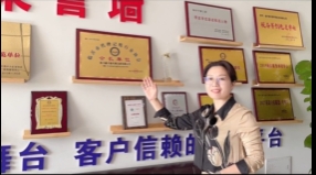 十七年鑫爾泰 一生財稅人